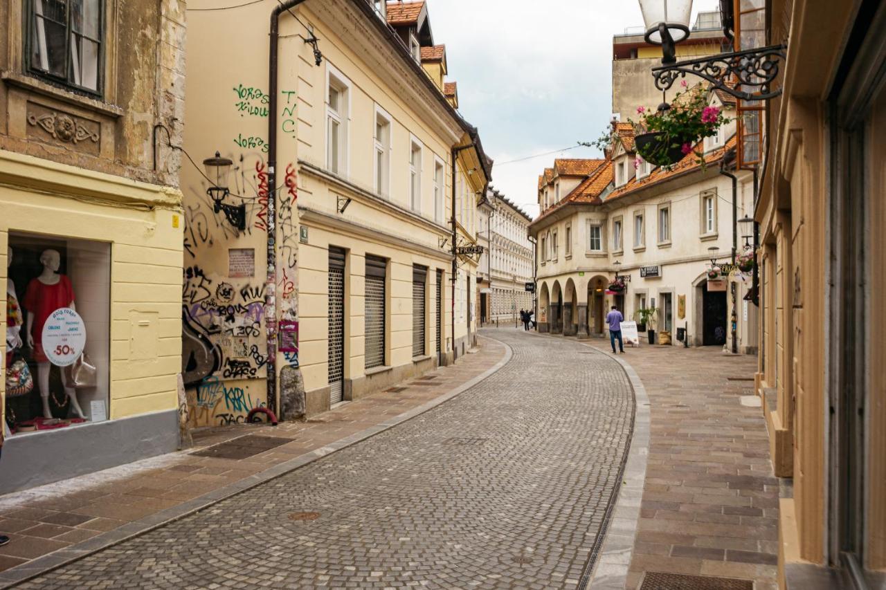 150 Steps To The Main Square Apartment Ljubljana Bagian luar foto