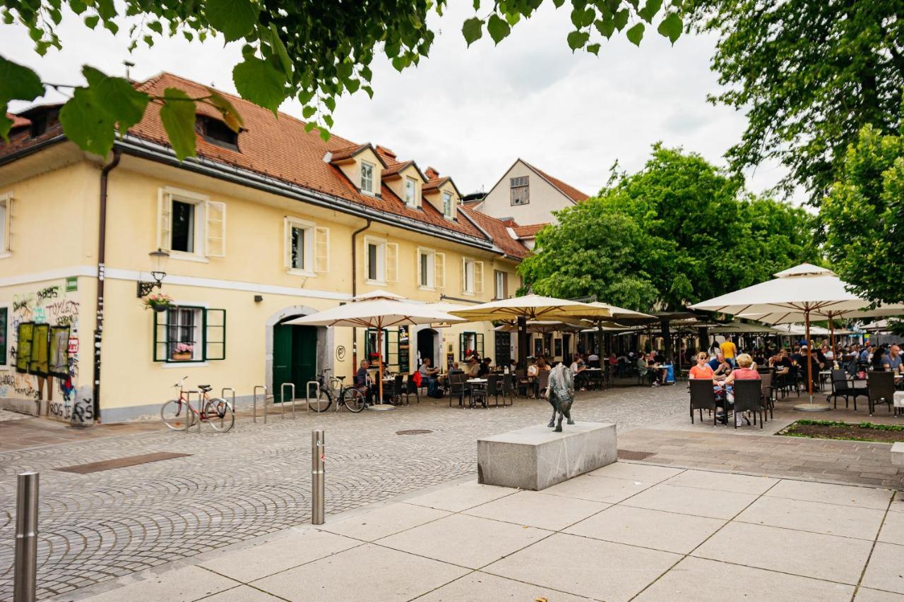 150 Steps To The Main Square Apartment Ljubljana Bagian luar foto