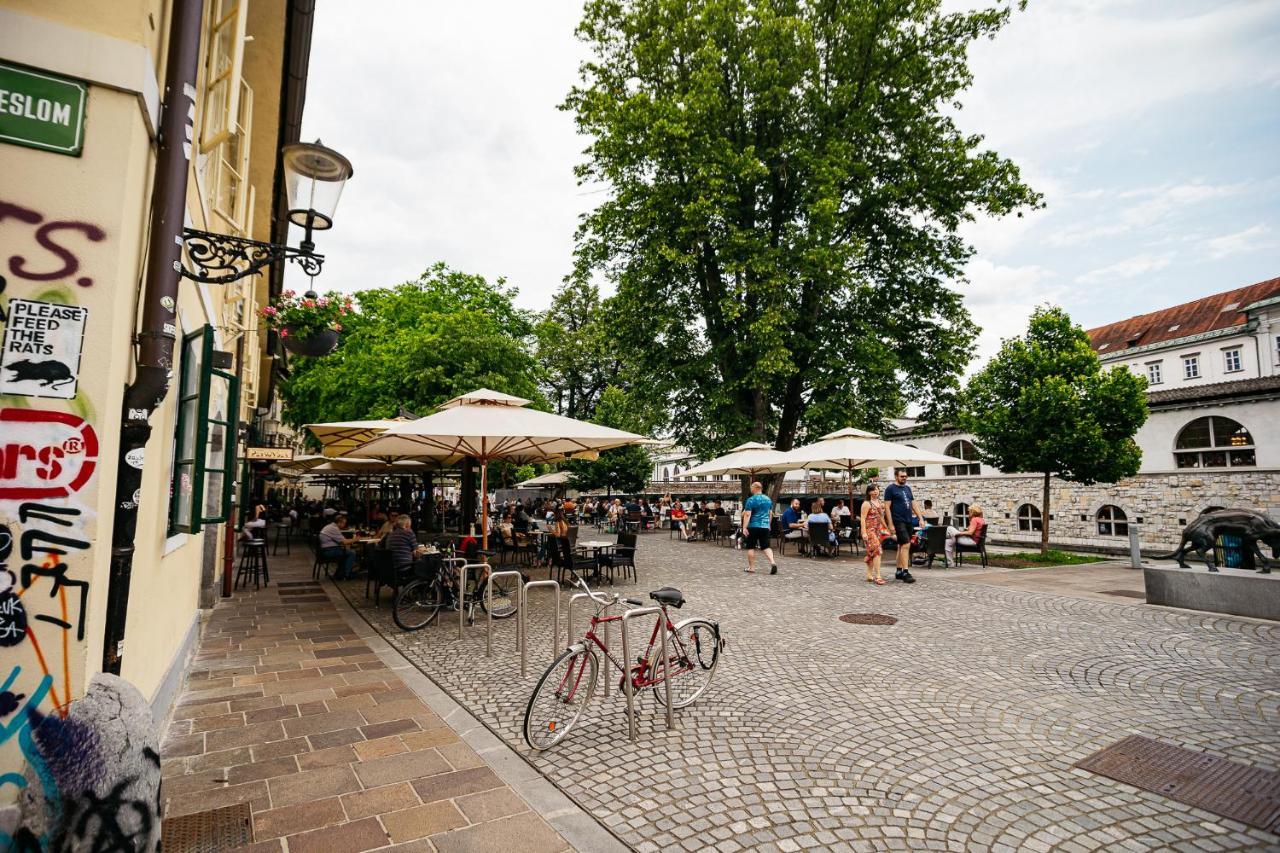 150 Steps To The Main Square Apartment Ljubljana Bagian luar foto